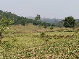  Agricultural Land for Rent in Karveer, Kolhapur