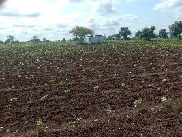  Agricultural Land for Sale in Pachora, Jalgaon
