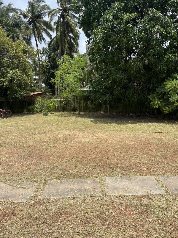  Residential Plot 1225 Sq. Meter for Sale in Cuncolim, Goa