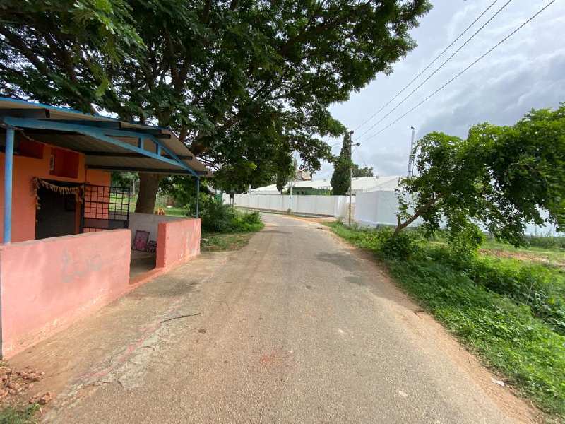 Industrial Land for Sale in Doddaballapur, Bangalore (REI893429)
