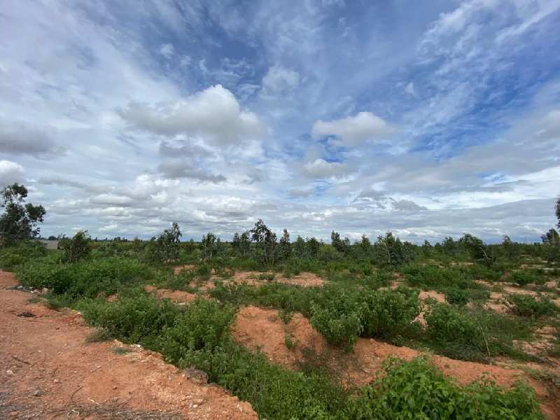 Farm Land for Sale in Devanahalli, Bangalore (REI899280)