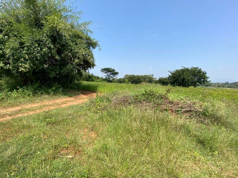 Farm Land for Sale in Devanahalli, Bangalore (REI917705)