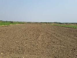 Agricultural Land for Sale in Baramati, Pune