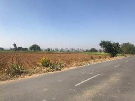  Agricultural Land for Sale in Tosham, Bhiwani