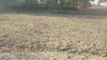 Commercial Land for Sale in Badkhar Nagar, Trichy Colony, Satna