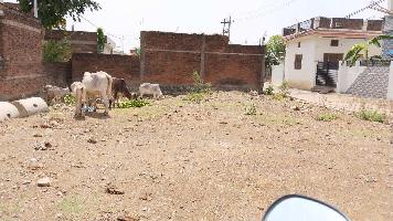  Residential Plot for Sale in Umari, Satna