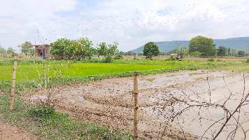  Agricultural Land for Sale in Raghuraj Nagar, Satna