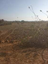  Agricultural Land for Sale in Jaitwara, Satna