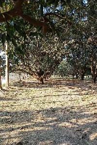  Commercial Land for Sale in Siddharthanagar, Siddharthnagar, Siddharthnagar