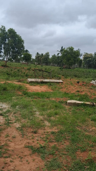  Residential Plot for Sale in Devanahalli, Bangalore