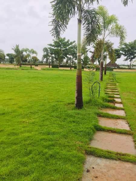  Residential Plot 167 Sq. Yards for Sale in Achutapuram, Visakhapatnam