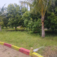  Agricultural Land for Sale in Acharapakkam, Chengalpattu