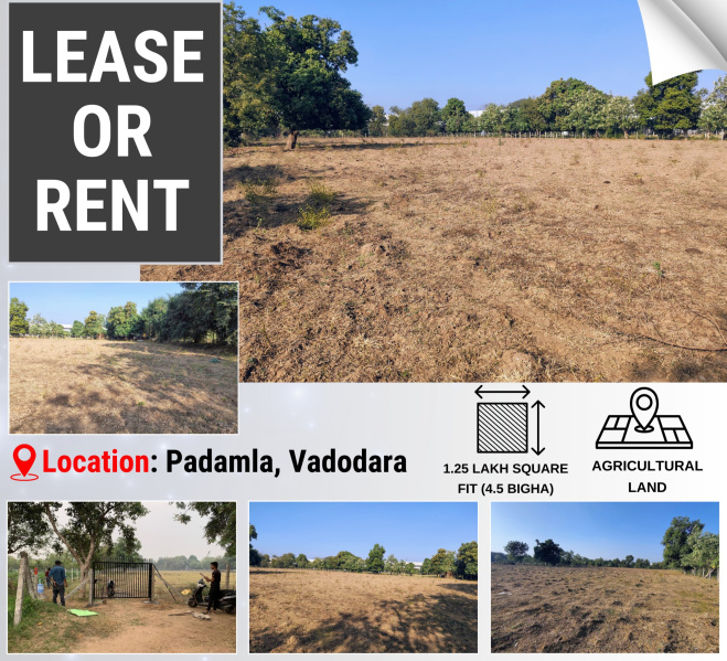  Agricultural Land 11617 Sq. Meter for Rent in Ranoli, Vadodara