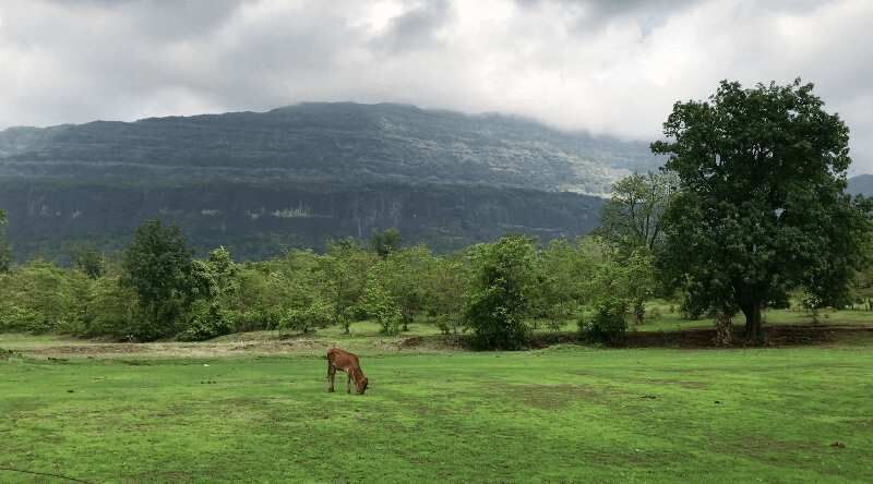  Agricultural Land 23 Ares for Sale in Karjat, Mumbai