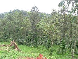  Agricultural Land for Rent in Vilpatti, Kodaikanal