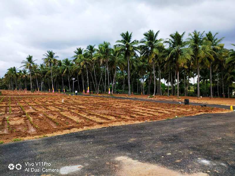 Agricultural Land 25 Cent for Sale in Shoolagiri, Hosur (REI895908)