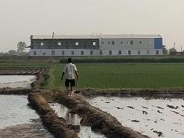  Agricultural Land for Sale in Aterna, Sonipat