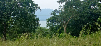 Residential Plot for Sale in Mulshi, Pune