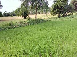  Agricultural Land for Sale in Alair, Nalgonda