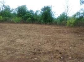  Commercial Land for Sale in Rajapur, Ratnagiri