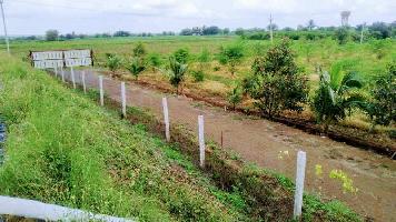  Agricultural Land for Sale in Indi, Bijapur