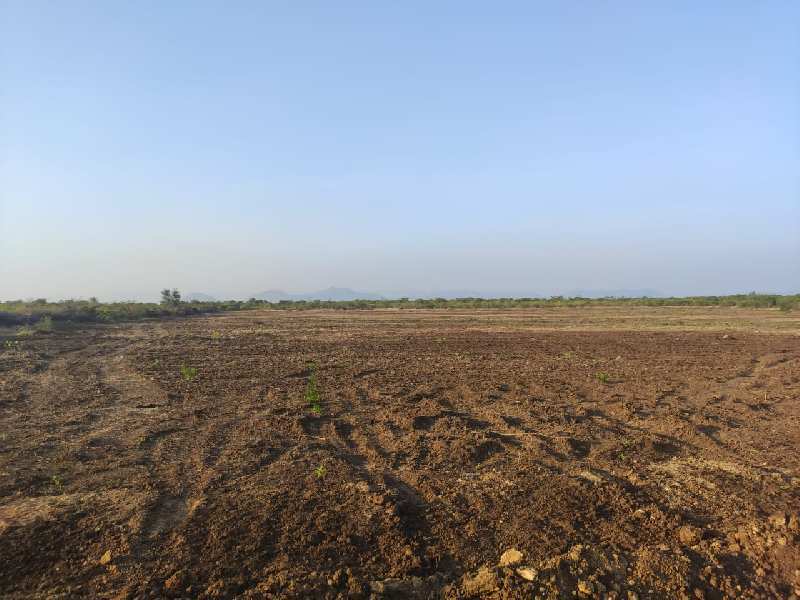 Agricultural Land 5 Acre for Sale in Musiri, Tiruchirappalli