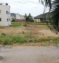  Residential Plot for Sale in Thiruverkadu, Chennai
