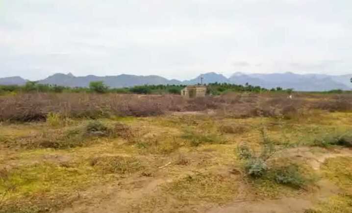  Agricultural Land 12 Acre for Sale in Srivilliputhur, Virudhunagar