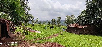  Agricultural Land for Sale in Panchgani Mahabaleswar Road, Mahabaleshwar