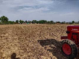  Agricultural Land for Sale in Patera, Damoh
