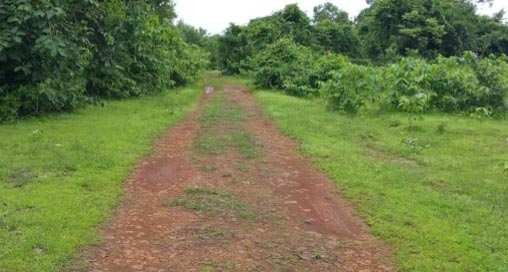 Agricultural Land 200 Acre for Sale in