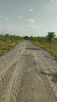  Residential Plot for Sale in Podili, Prakasam