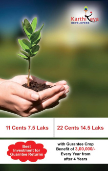  Residential Plot for Sale in Arundelpet, Guntur
