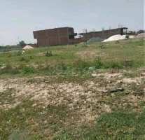  Residential Plot for Sale in Sector 7, Sonipat