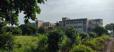  Commercial Land for Sale in Bhagat Pura, Sonipat