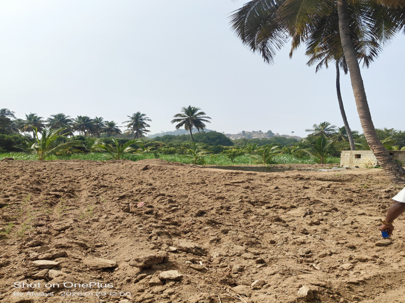  6 Acre Agricultural/Farm Land for Sale in Bargur, Krishnagiri