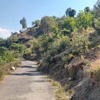  Agricultural Land for Sale in Rawalsar, Mandi