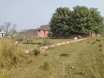  Commercial Land for Sale in Bhurkoni, Raipur