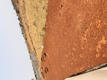  Residential Plot for Sale in Sejbahar, Raipur