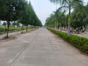  Residential Plot for Sale in Sejbahar, Raipur