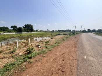  Residential Plot for Sale in Amleshwar, Raipur