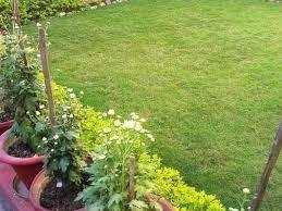 Farm House for Sale in Sitapur Road, Lucknow