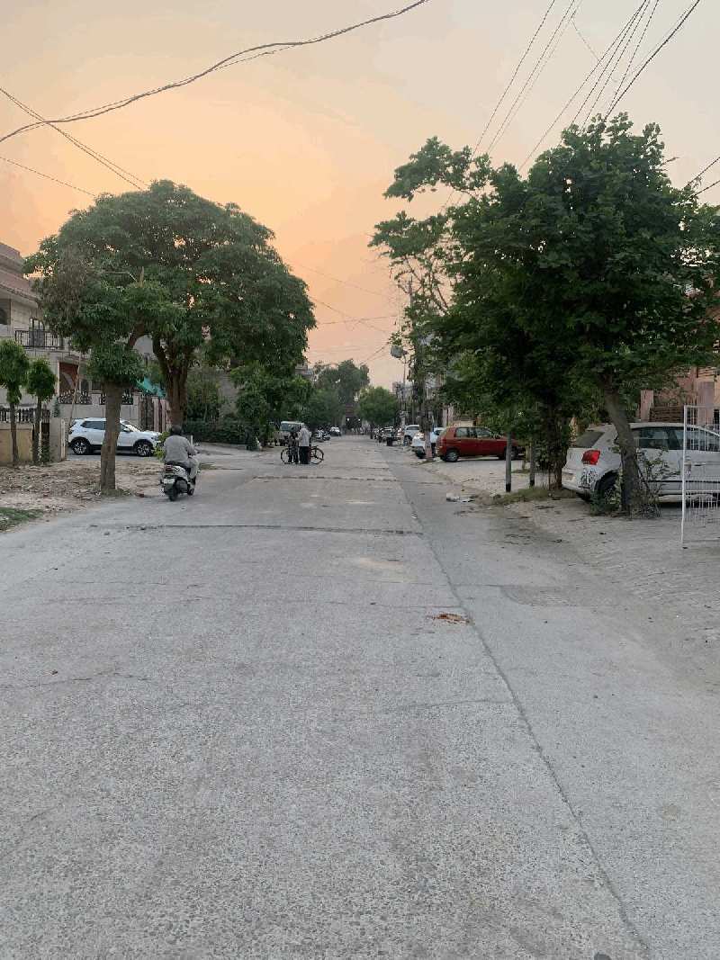 Commercial Land for Sale in Subhash Nagar, Rohtak (REI1042867)