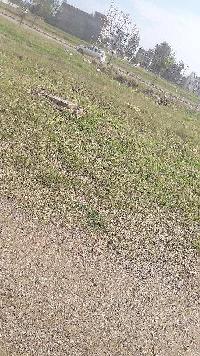  Residential Plot for Sale in Aerocity, Mohali