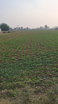 Agricultural Land for Sale in Sohna, Gurgaon
