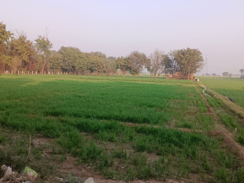  Agricultural Land for Sale in Sohna, Gurgaon