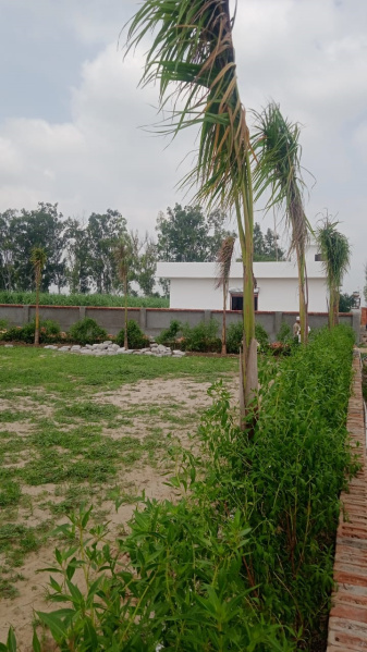  Residential Plot 142 Sq. Yards for Sale in Bhola Road, Meerut