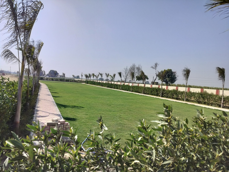  Residential Plot 125 Sq. Yards for Sale in Meerut Bypass