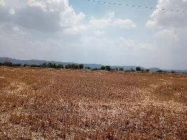  Agricultural Land for Sale in Hindoli, Bundi