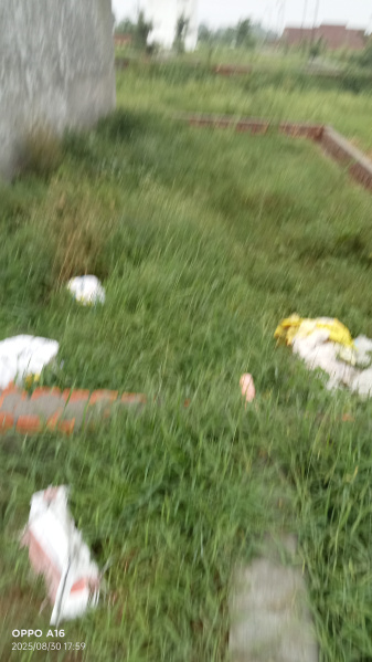  1130 Sq.ft. Residential Plot for Sale in Jalandhar Cantt.